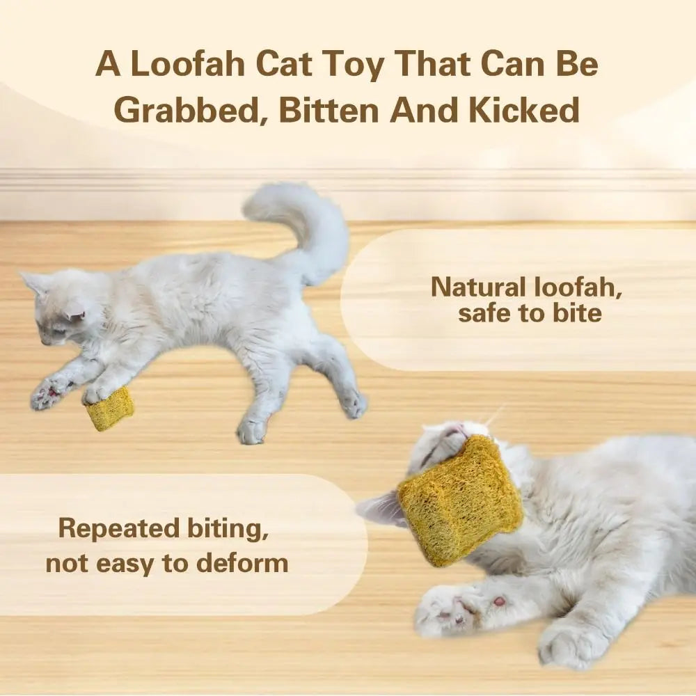 A fluffy gray cat is playing with a natural loofah cat toy, which is designed to be grabbed, bitten, and kicked.