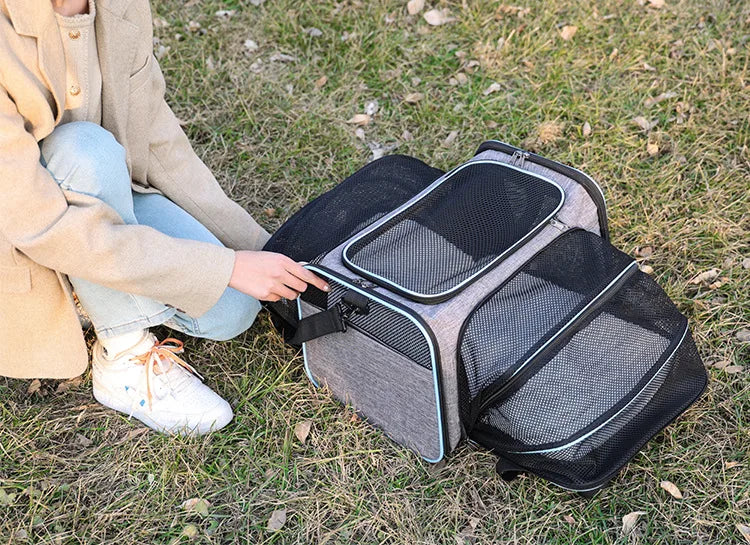 Foldable Pet Carrier Bag for Small Dogs and Cats