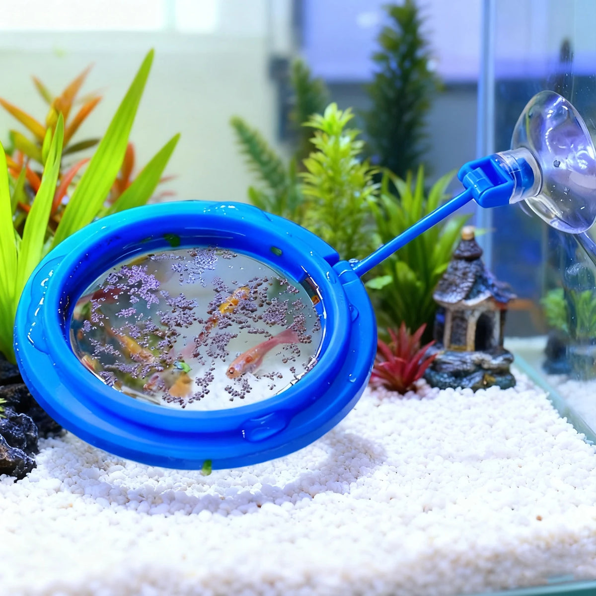Un anillo azul con forma de alimentador para peces colocado sobre grava blanca, con un pequeño acuario visible en su interior