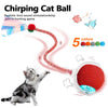 Interactive Chirping Cat Toy Ball with Motion Activation