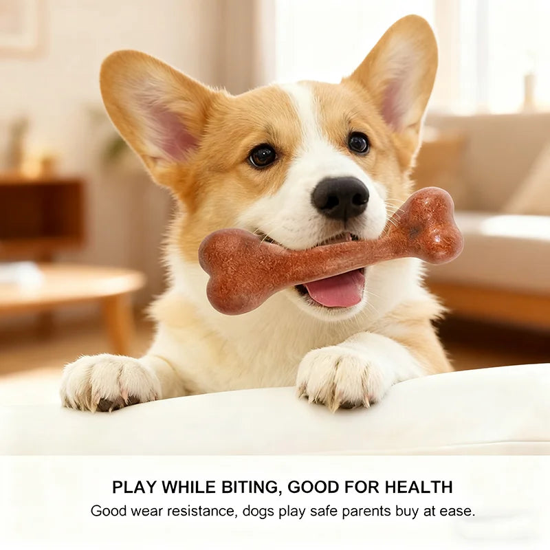 A happy dog holding a brown beef bacon-flavored durable chew toy bone.