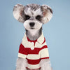 Classic Cotton Polo Shirt for Dogs and Cats