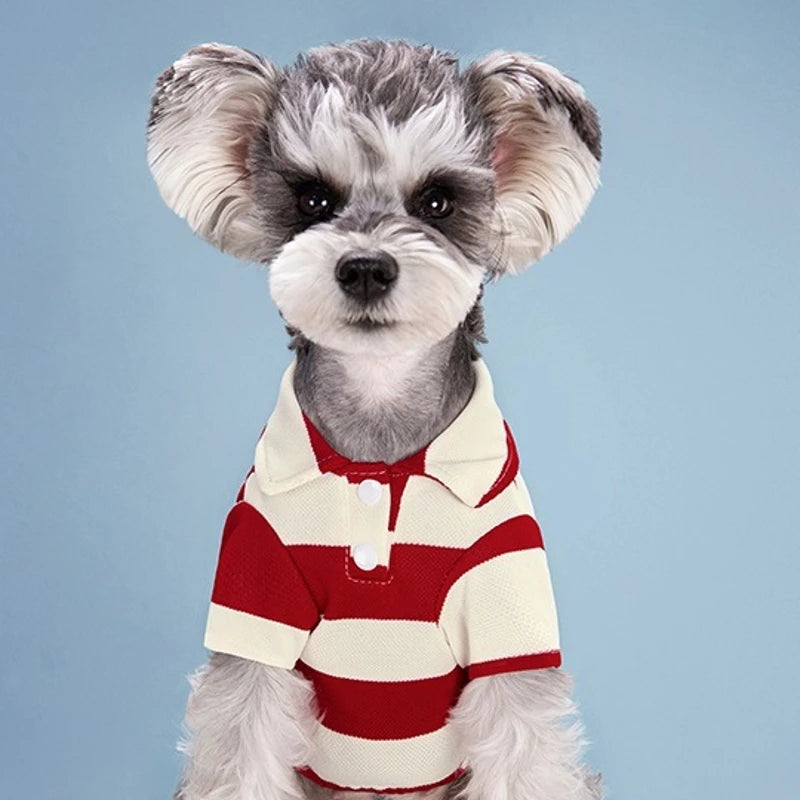 Classic Cotton Polo Shirt for Dogs and Cats