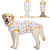 A golden retriever wearing a light blue and yellow pet recovery suit with attached harness components.