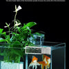 Thermomètre Digital LCD pour Aquarium