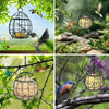 Hanging Metal Bird Feeder with Hook