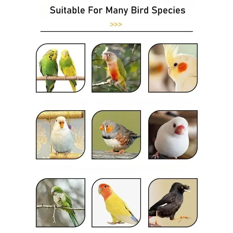 Parrot No-Waste Feeder with Seed Husk Separator