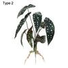 Artificial Hydroponic Plant with Visible Roots – Lifelike Greenery for Home & Event Decor