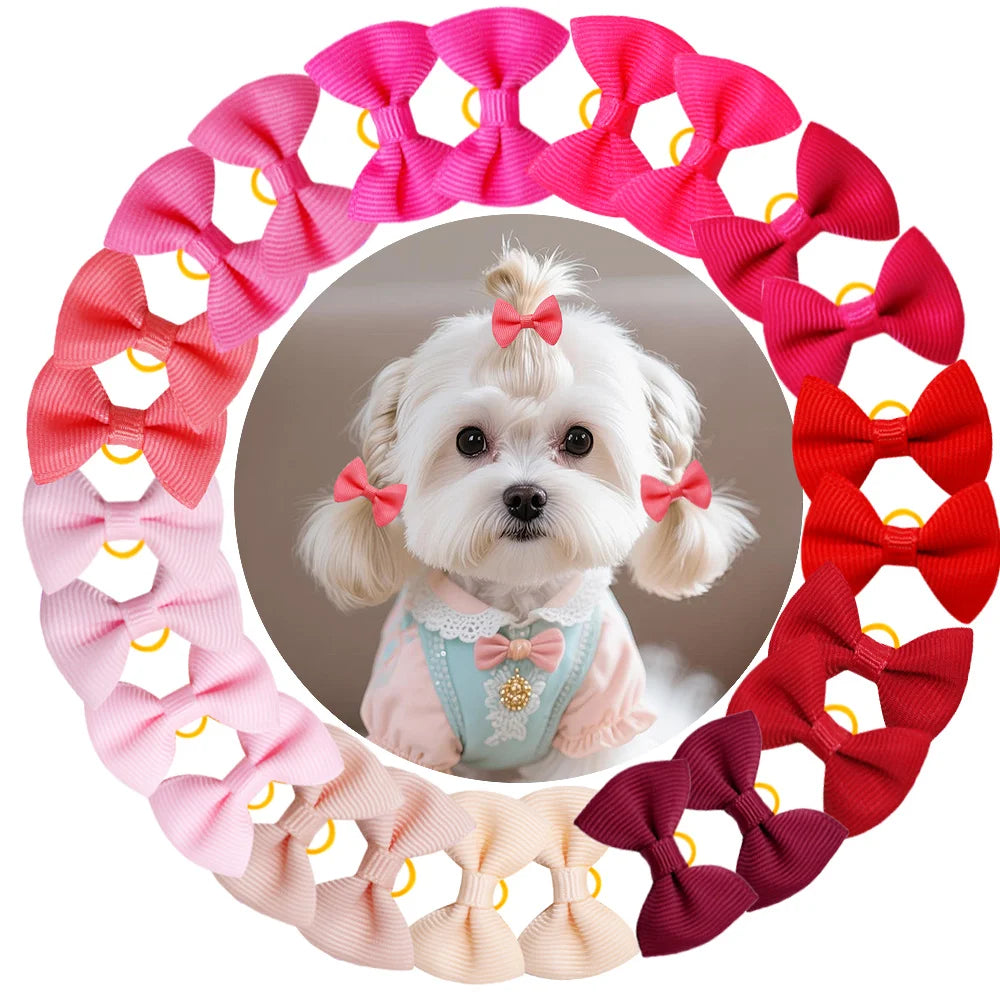 A circular arrangement of 30 colorful handmade dog bow knots in pink and red shades.