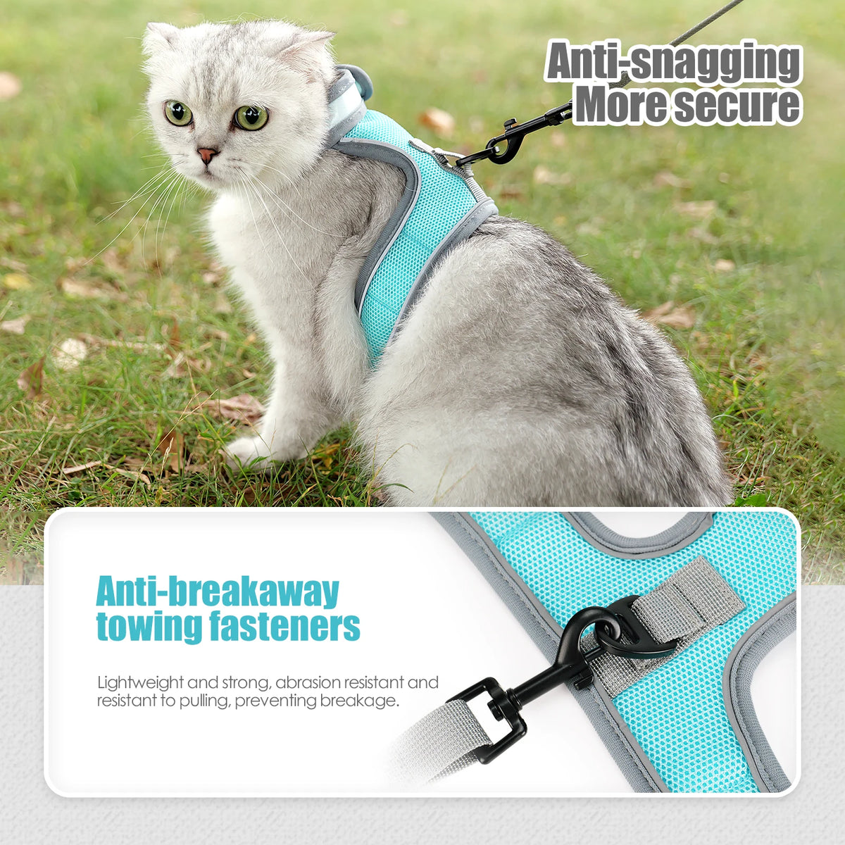 A gray cat wearing a blue harness designed to be anti-snagging and secure.