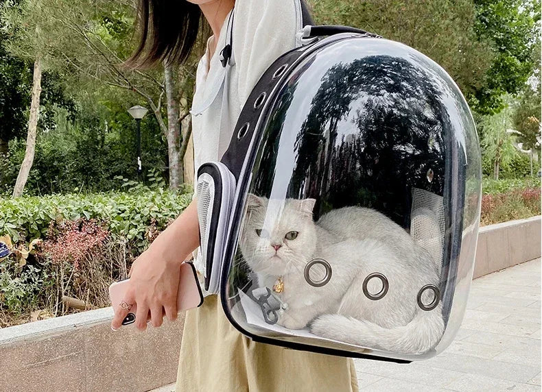A person is carrying a clear dome-shaped pet carrier backpack with a white cat inside, outdoors.
