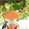 Nourrice pour oiseaux orange et étanche suspendue à une branche d'arbre, avec un bol en verre et un petit distributeur bleu s