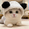 Adorable Bear Plush Pet Headwear for Cats and Small Dogs
