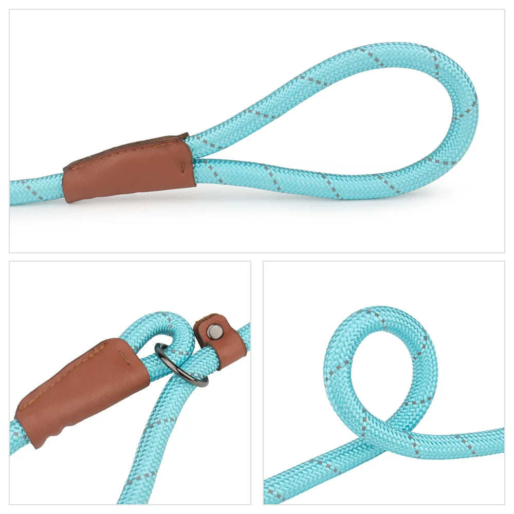 A turquoise reflective P-shape dog leash with a brown leather clip and braided nylon strap.