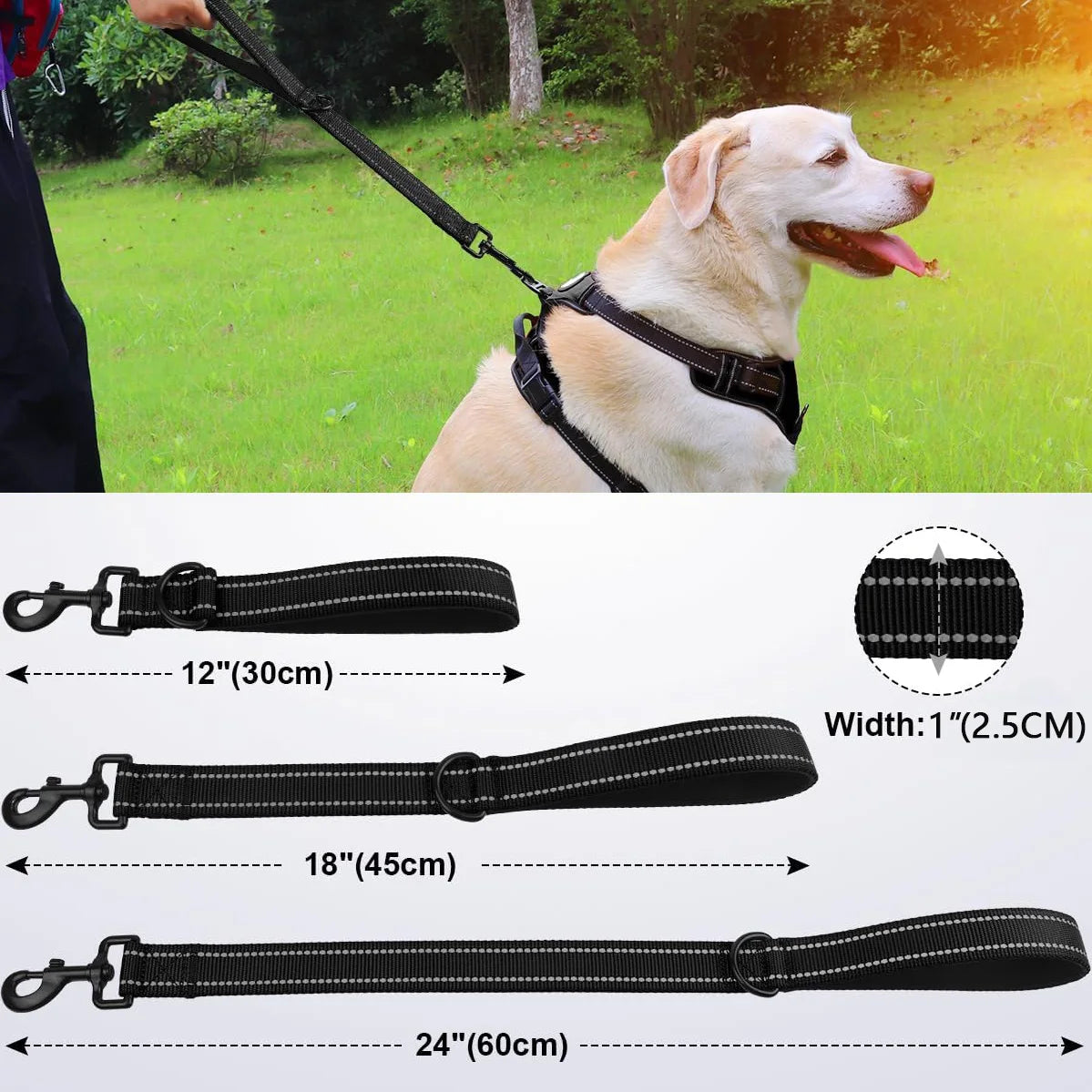 A black heavy-duty dog leash with padded handles and reflective threads is shown alongside various length options.
