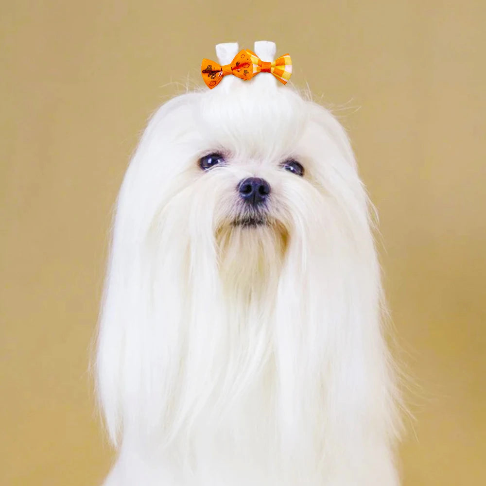 Pet Hair Bows with Rubber Bands - Assorted Styles for Small Dogs and Cats