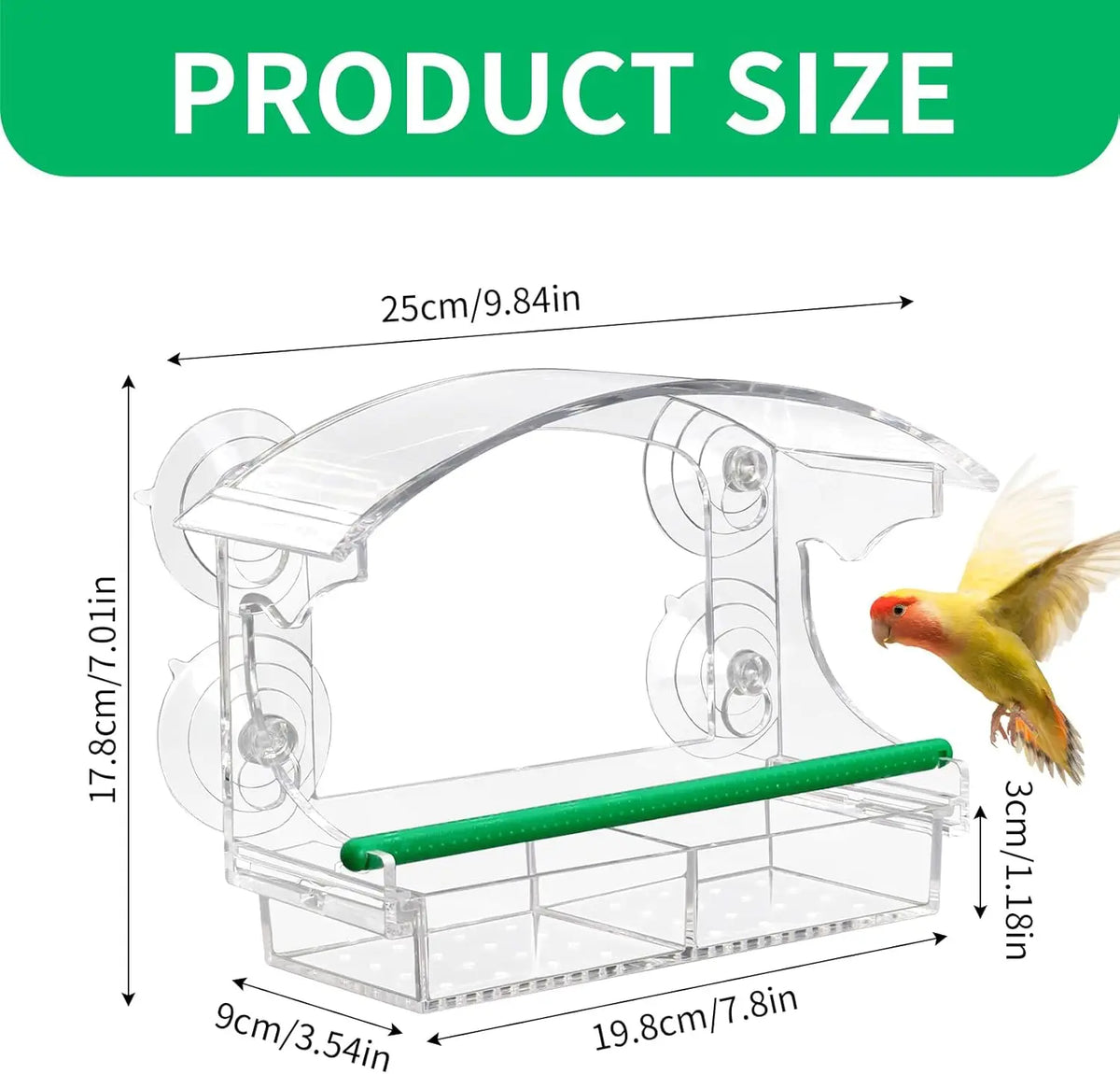 A transparent acrylic window bird feeder with a green feeding tube and suction cups for birds.