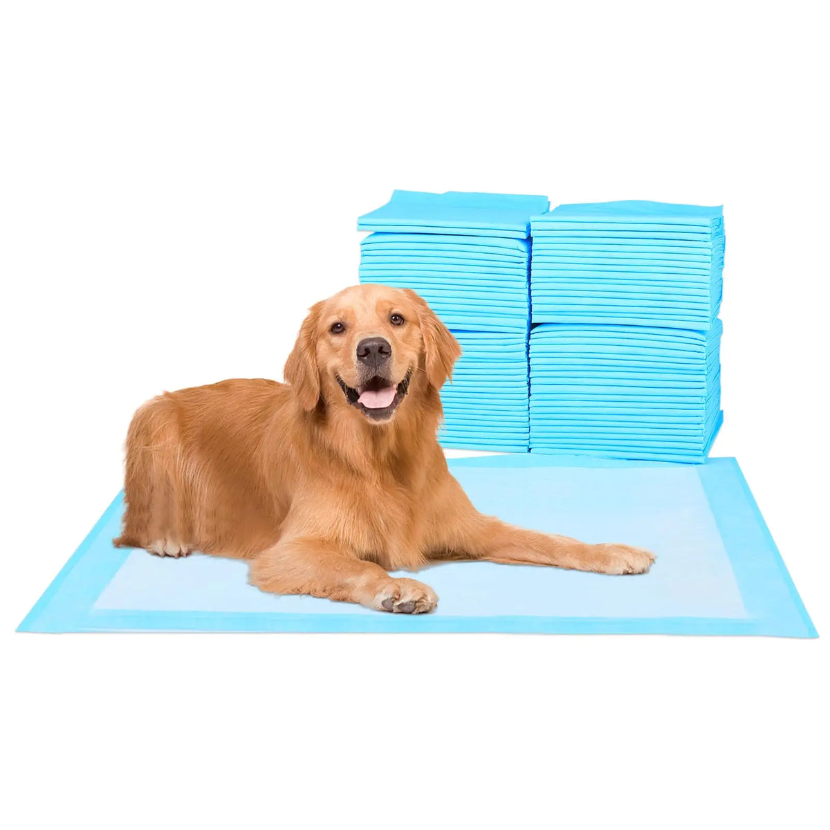 Leak-Proof Dog Pee Pads with Quick-Dry Absorbent Core
