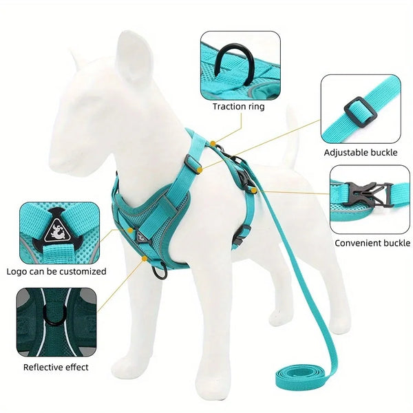 A white dog wearing a teal harness and leash set with various components shown for customization and features.