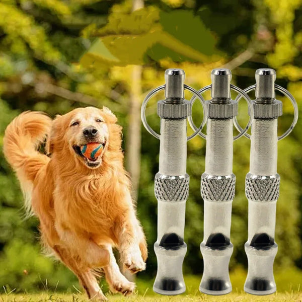 A golden retriever dog running outdoors next to three stainless steel ultrasonic dog training whistles.
