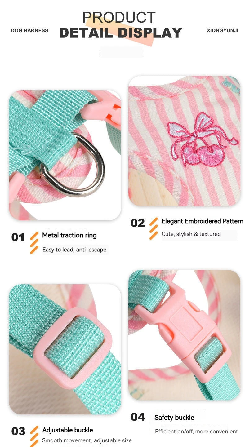 Striped Color-Block Dog Harness with Matching Leash