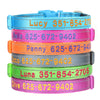 Personalisierte bestickte Nylon-Hundehalsband