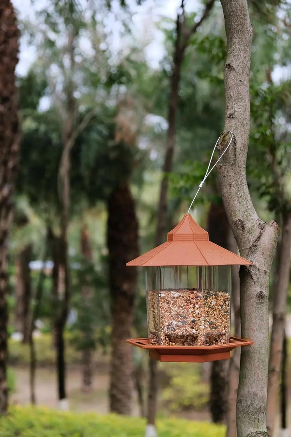 Comedero automático para pájaros con múltiples puertos, colgado de una rama de árbol y lleno de semillas.