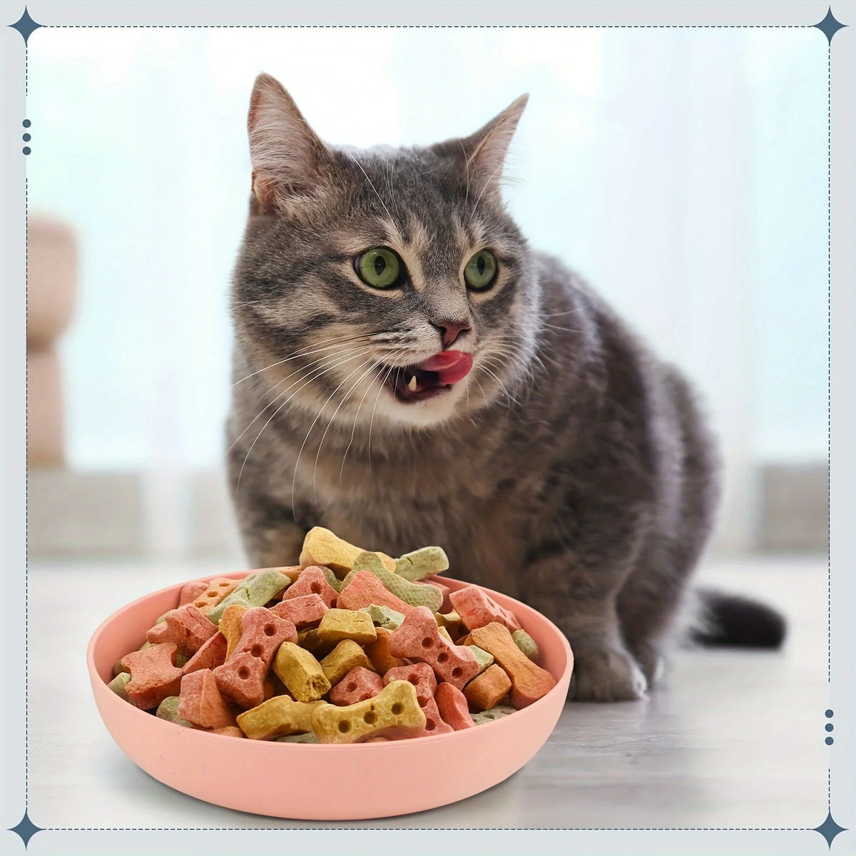 A tabby cat looks at a pink bowl filled with various kibble pieces.