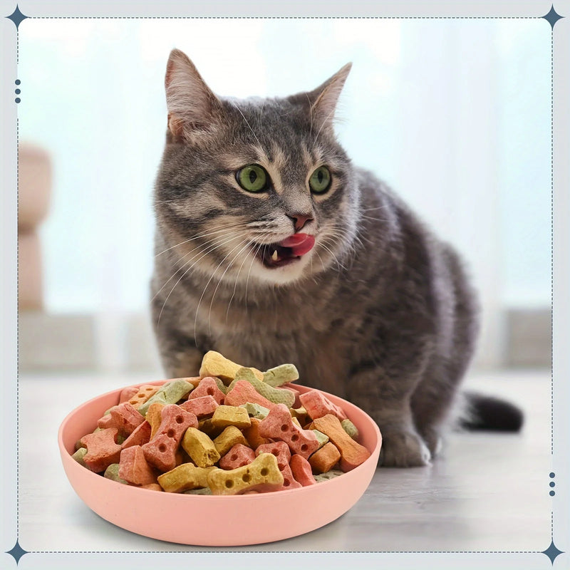 Set de 4 Platos Superficiales para Gato