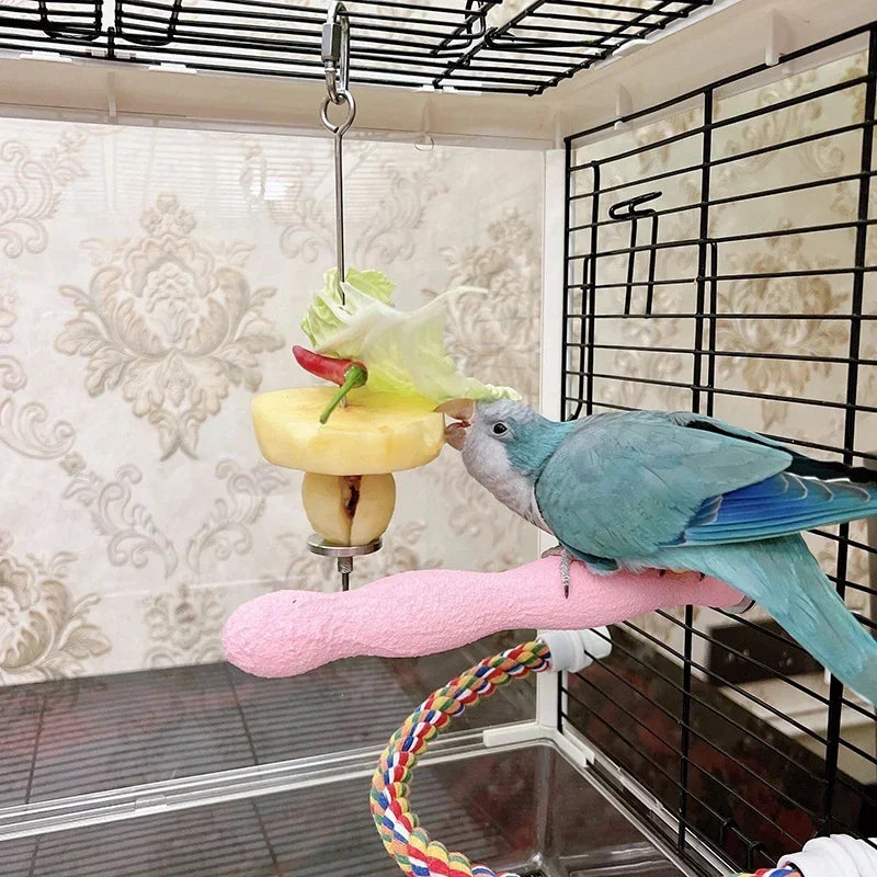 A blue parrot is feeding from a stainless steel bird feeder fork, which is suspended from a wire.