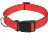 Decorative Nylon Dog Collar with Buckle Closure