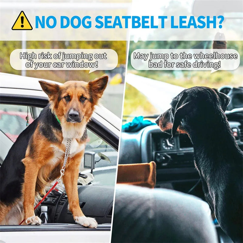 Verstellbares Hundegurt-Geschirr für das Auto