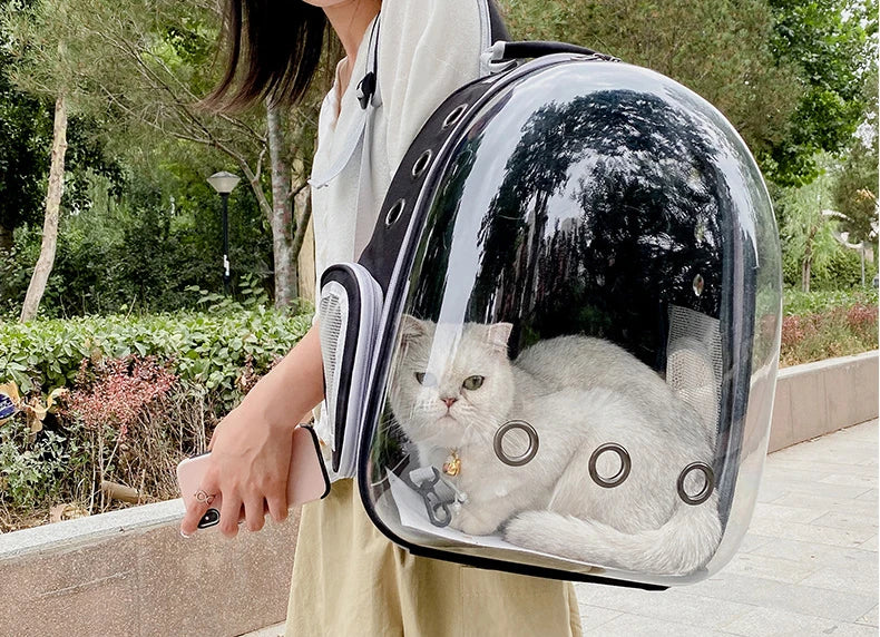 Une personne tient un sac à dos transparent pour animaux avec une fenêtre d'observation montrant un chat blanc.