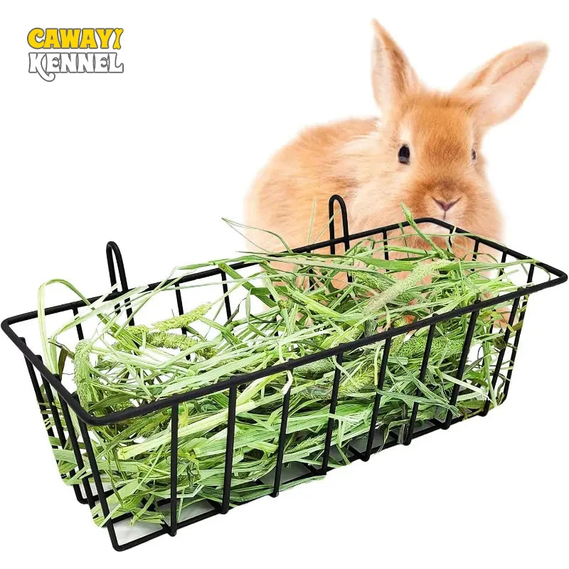 Ein flauschiges orangefarbenes Kaninchen neben einem schwarzen Metall-Heubereich für Kleintiere.