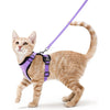 Ausbruchssicherer Katzen-Geschirr mit Leine