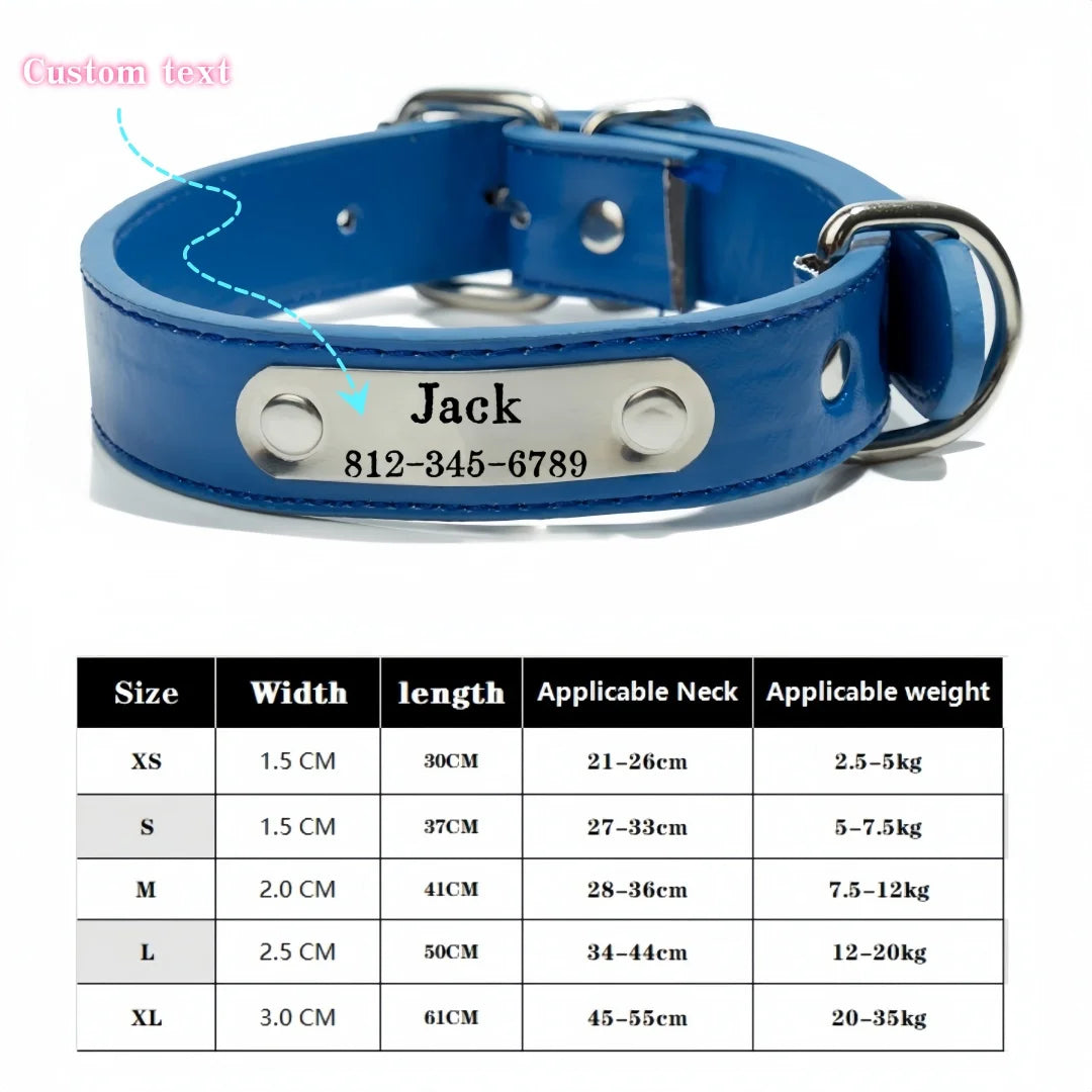 Blue PU leather dog collar with a silver engraved nameplate reading Jack and a phone number