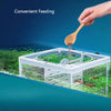 Aquarium Fish Breeding Isolation Box with Suction Cups