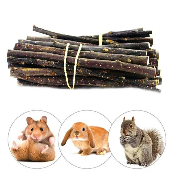 A collection of natural apple branch chew sticks for small pets, including several small squirrels.