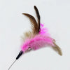 Cat Collar Toy with Feather Bells