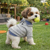 Preppy Style Two-Piece Dog Hoodie