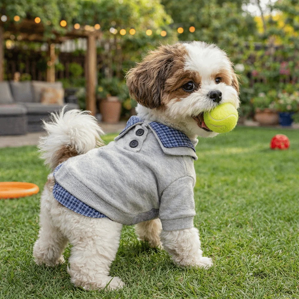 Preppy Style Two-Piece Dog Hoodie
