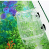Cage d'isolement pour reproduction en aquarium