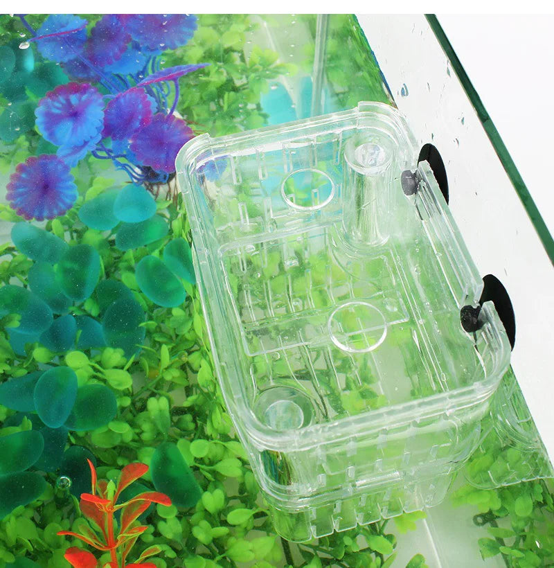 Cage d'isolement pour reproduction en aquarium