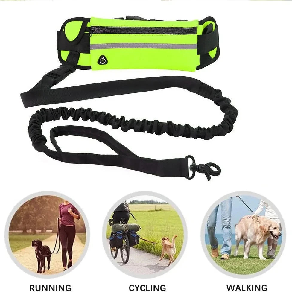 A black dog waist leash with a neon yellow bag and reflective trim shown alongside images of running, cycling, and walking do