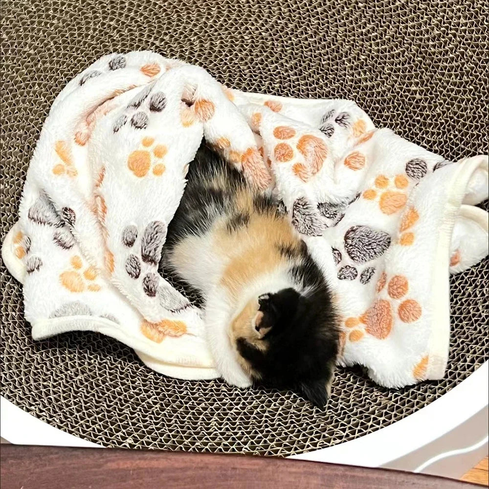 A black and white pet is sleeping on a white fleece blanket with an orange paw print pattern.