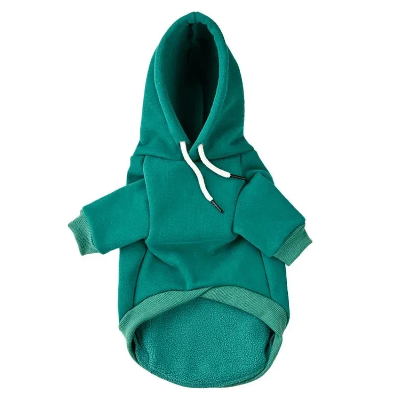 A teal warm fleece dog hoodie for small and medium breeds shown flat.