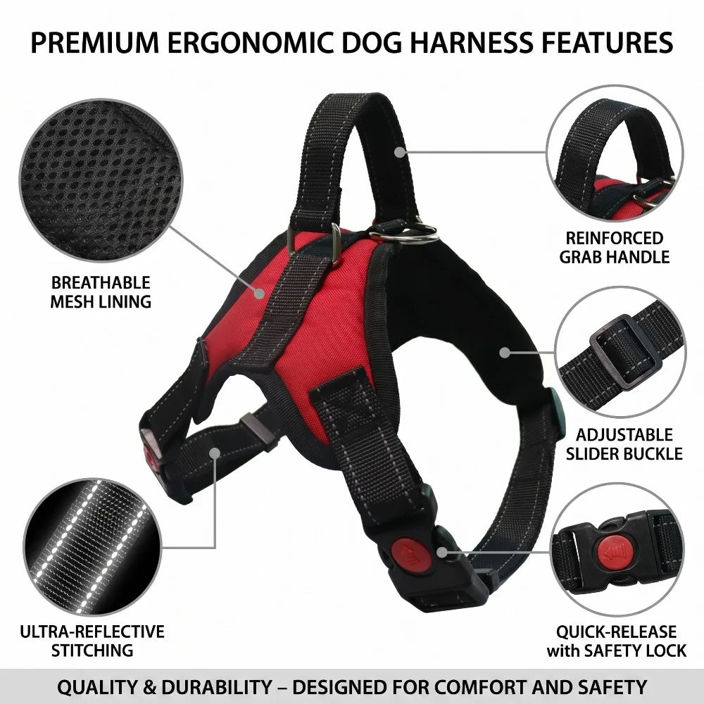 A black dog harness featuring breathable mesh lining, ultra-reflective stitching, and an adjustable slider buckle.