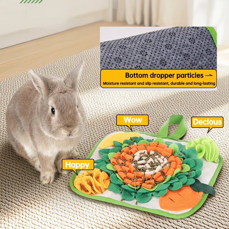 Ein Kaninchen schnüffelt eine grün-orange Foragematte für kleine Tiere.