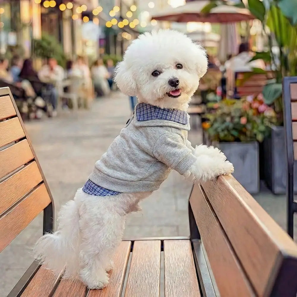 Preppy Style Two-Piece Dog Hoodie