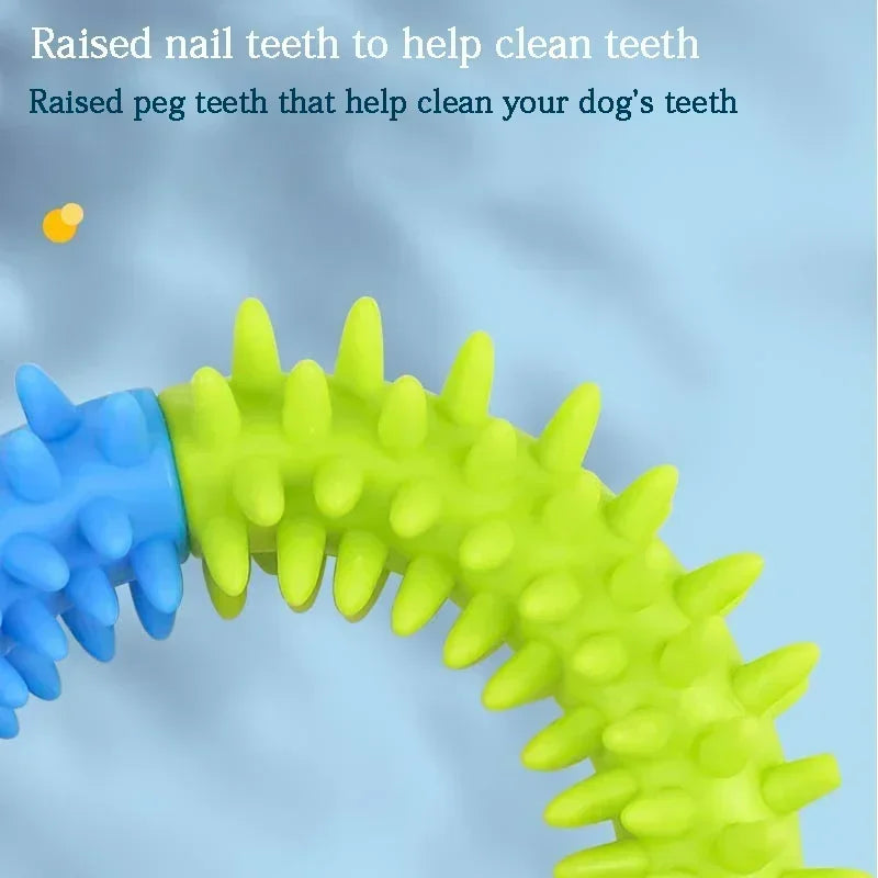 A close-up of a bright green spiky ring dog chew toy designed to help clean a dog's teeth.